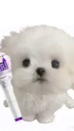上楓國小