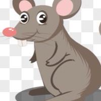 明倫滅鼠群