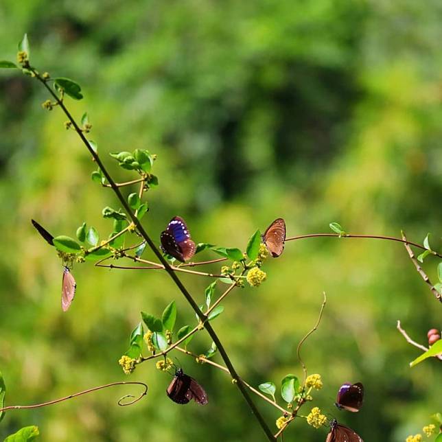 ▲圖片來源：IG@m6990400