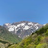 海外在住日本人へ、日本のよさを伝えようプロジェクト