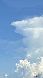 1000人目指せ全緩也