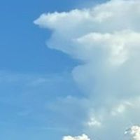 1000人目指せ全緩也
