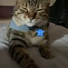 ZHENの代購：）
