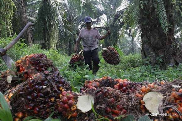 7100 Cara Membuat Kolase Dari Kulit Salak Gratis Terbaru