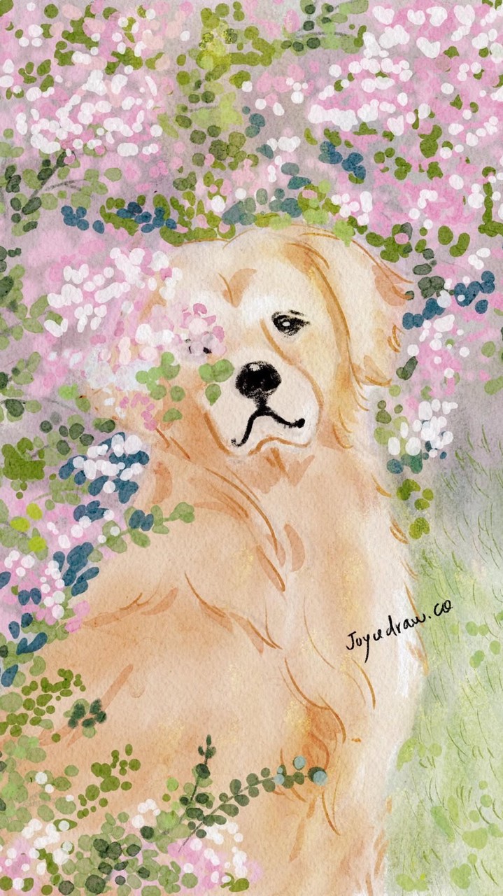 Joyce插畫問診間