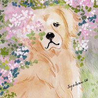 Joyce插畫問診間
