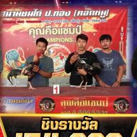 ซุ้ม พม่าแสนคม