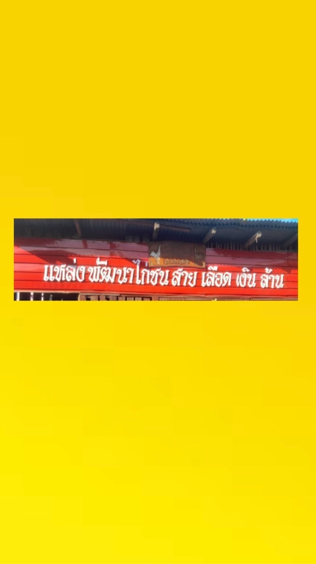 ป.เทพรังสรรค์ อ.บ้านแท่น จ.ชัยภูมิ