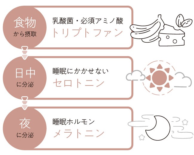 質のいい睡眠をとるためには 実は腸内環境が関係していた 菌ケアで睡眠改善 Oggi
