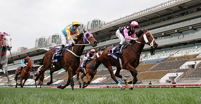 one generation horse