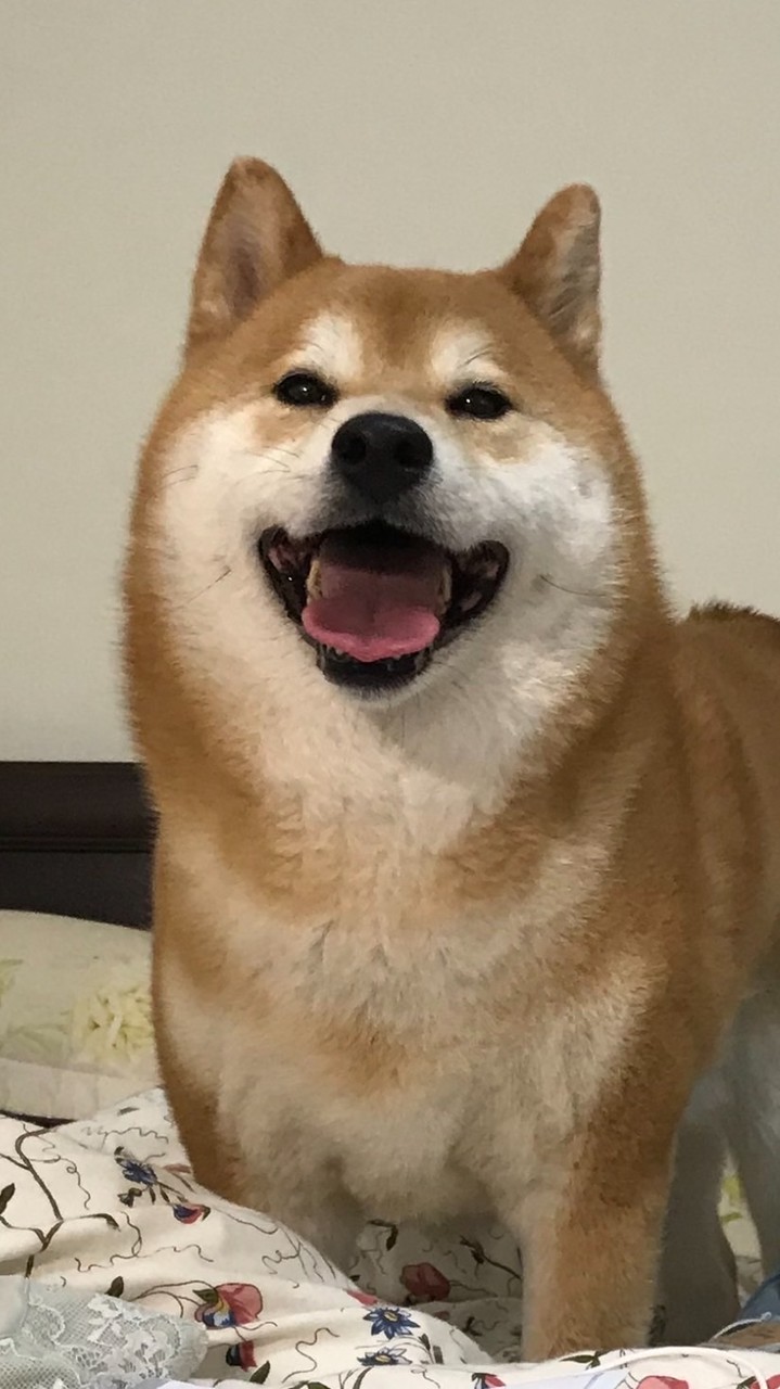 竹北中正國小群組