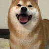 竹北中正國小群組
