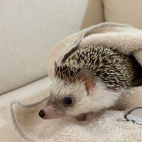 Jina社群🥨
