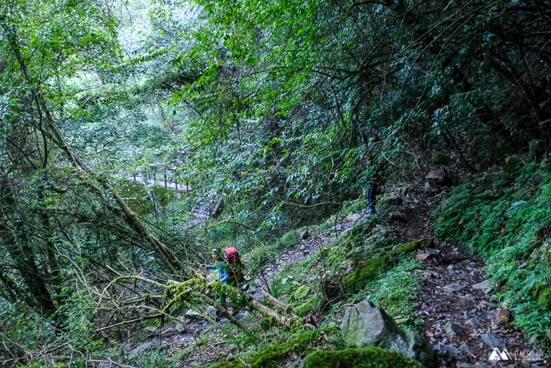 山女孩Melissa_大霸群峰三天兩夜_大霸尖山小霸尖山_登山心得-0547.jpg