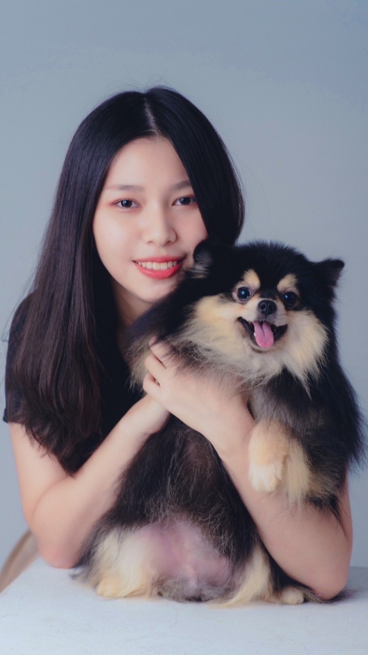 藝芳博美犬舍