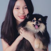 藝芳博美犬舍