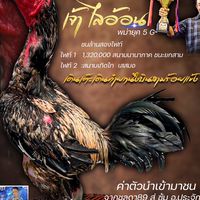 อ.ประจักษ์ ฟาร์ม พม่าตอคม