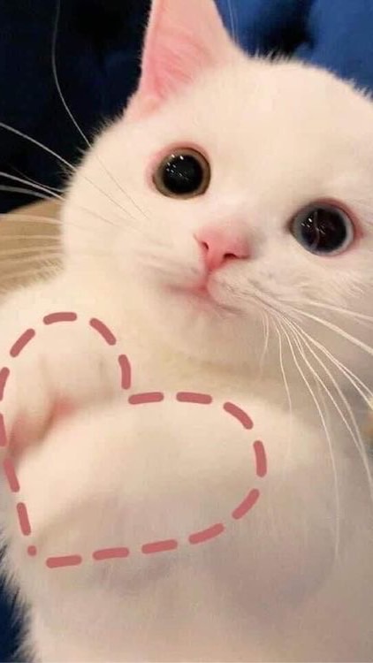 ♡ ตัวแทน ร้ายมายด์♡