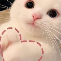 ♡ ตัวแทน ร้ายมายด์♡