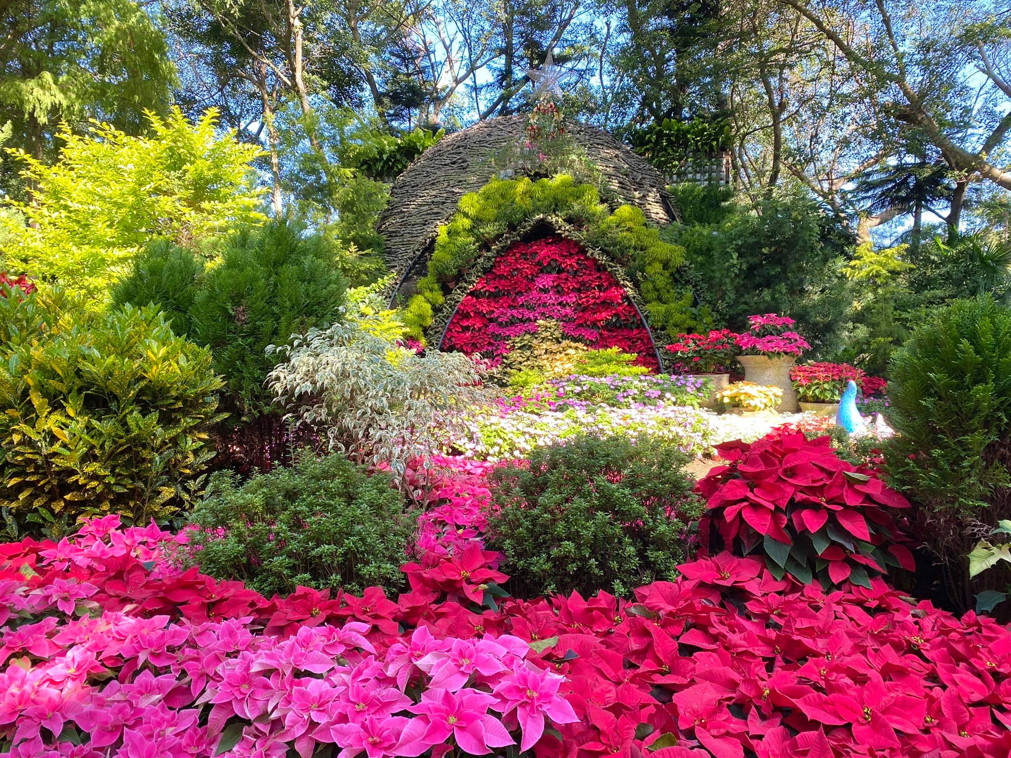 花露農場