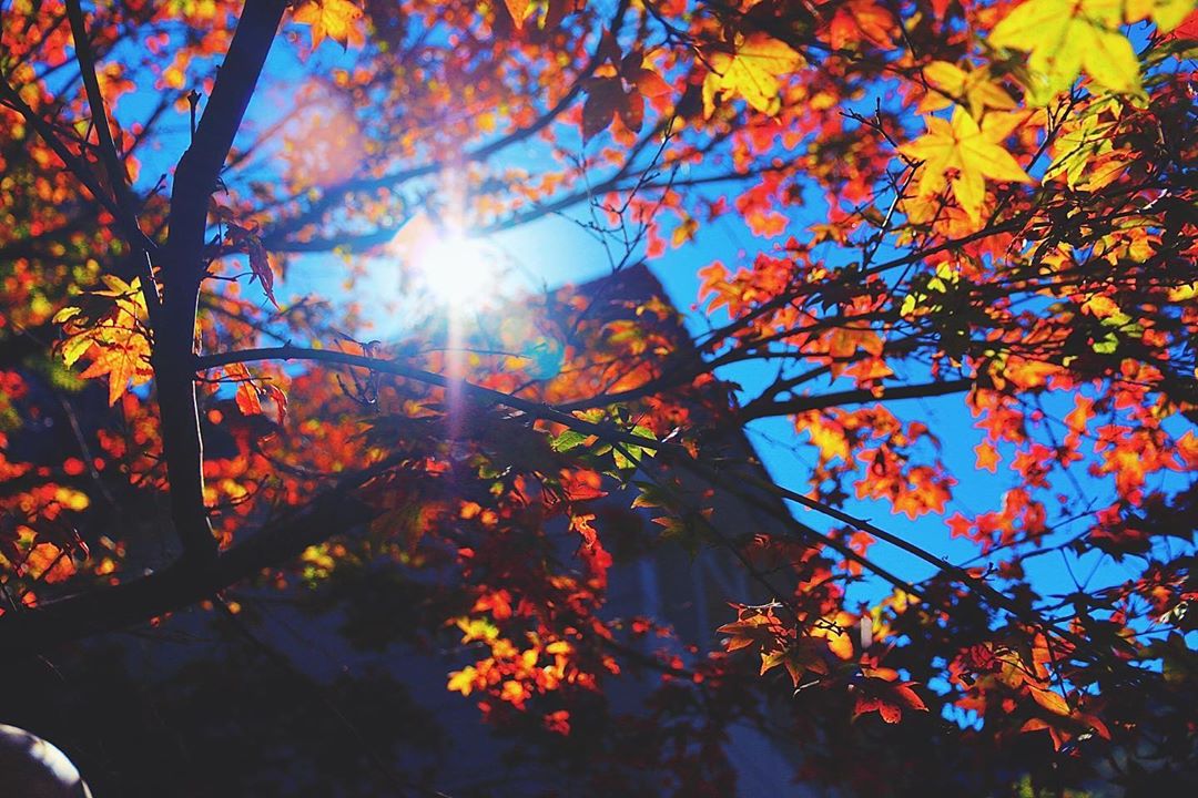 奧萬大 @roger200356