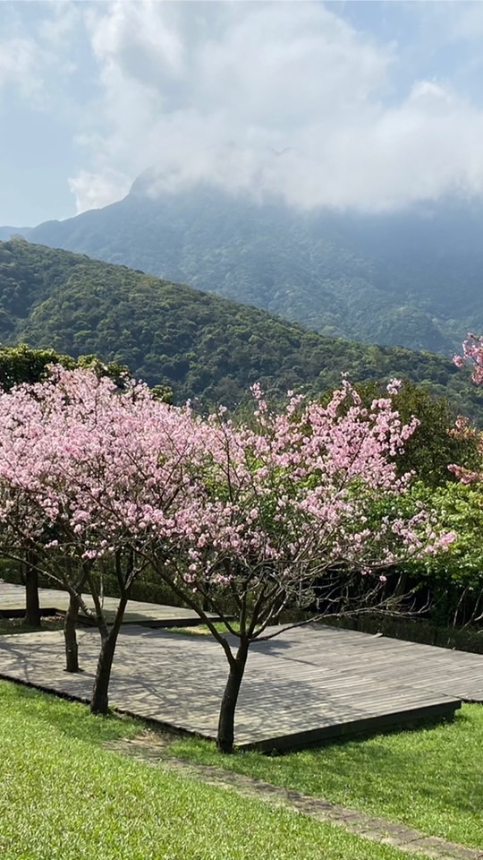 慈濟蘆洲社區志工