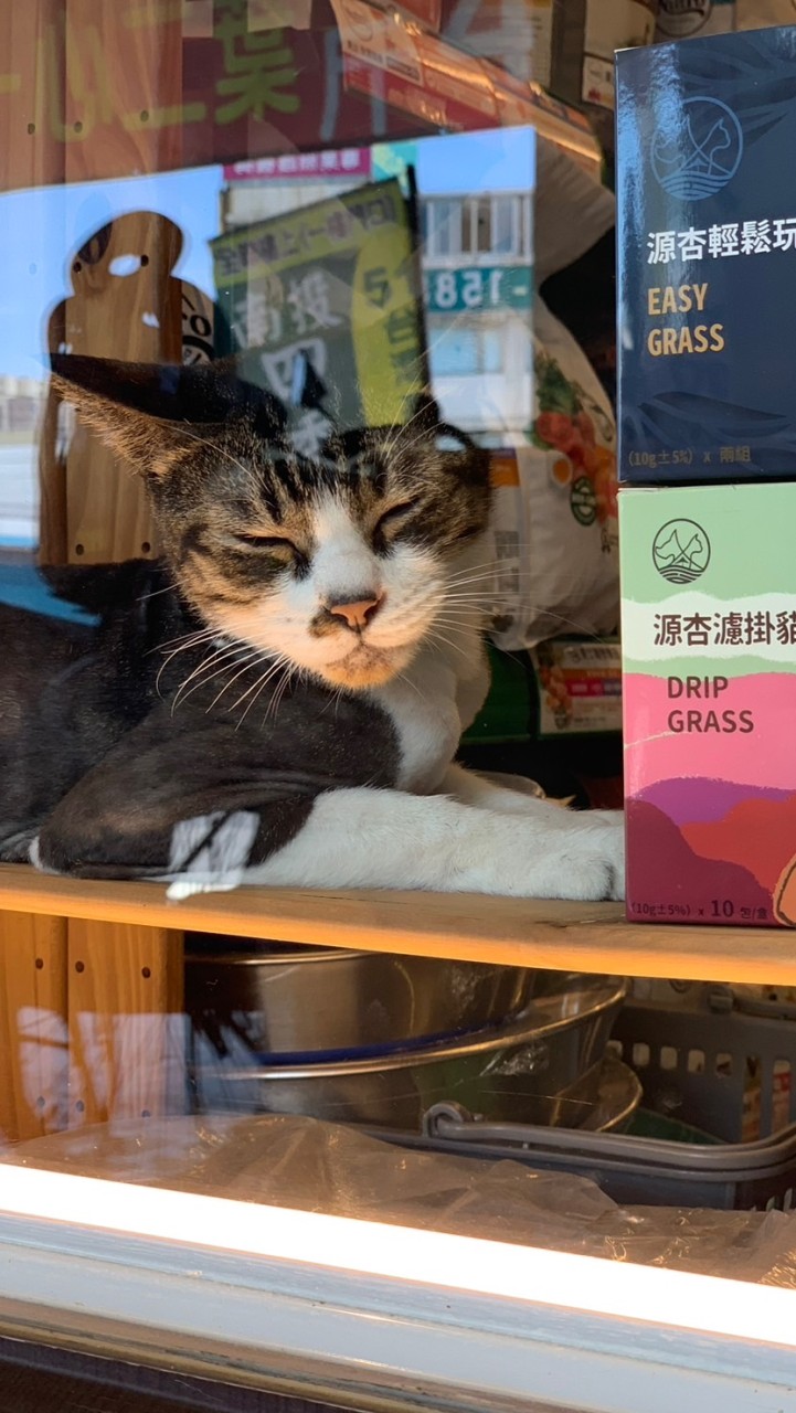 佳佳寵物美容/飼料/用品/零食/罐頭