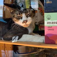 佳佳寵物美容/飼料/用品/零食/罐頭