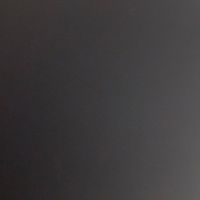 フトゥーロアメリカ遠征