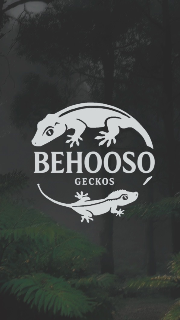 Behooso 壁護所