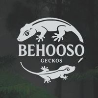Behooso 壁護所