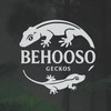 Behooso 壁護所