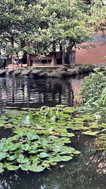 拾翠山莊保護自己家園