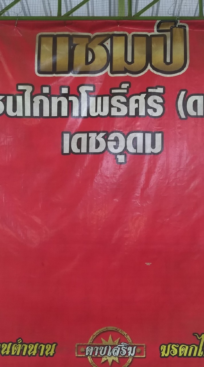 สนามชนไก่ท่าโพธิ์ศรี เดชอุดม