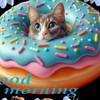 猫🐈大好き🩷動物🐱大好き🩷幸せ家族🎀