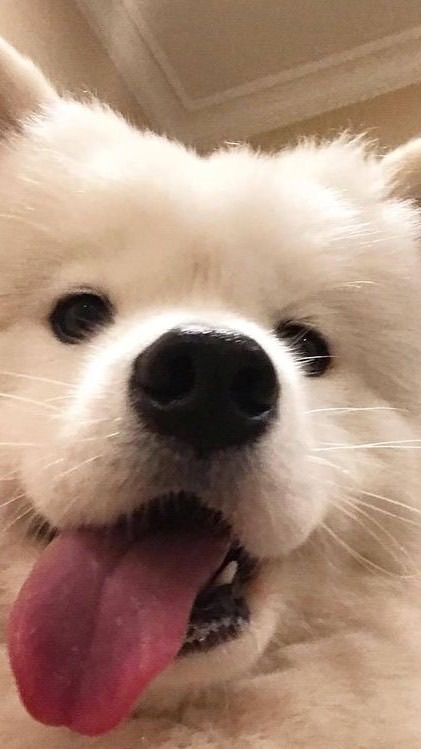 你要的素T在這