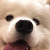 你要的素T在這