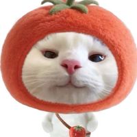 ลูกค้าของแป้ง