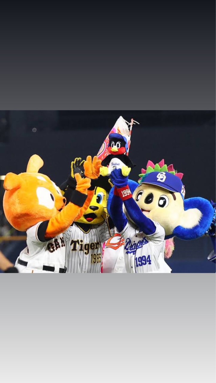 プロ野球06(07)会