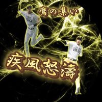 疾風怒濤