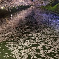 APPLE会(青森出身上京組)