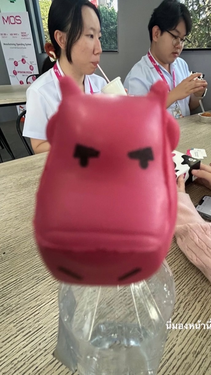 บ้าๆ บอๆ