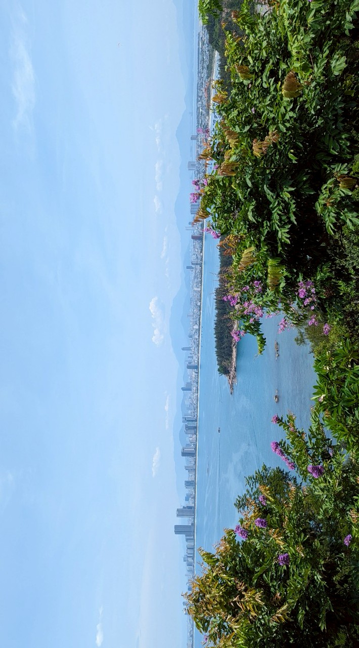 空中秘密花園小鋪