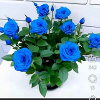 旅行快樂的回 回憶