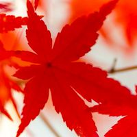 楓毅學員交流群(證券窗口)