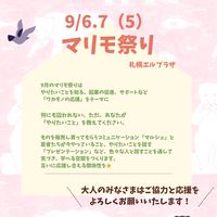 9/(5)6.7マリモ祭り