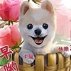 土地公土地婆的聊天室