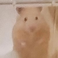 みんなで雑談しまくろ！ライブトークしたい！