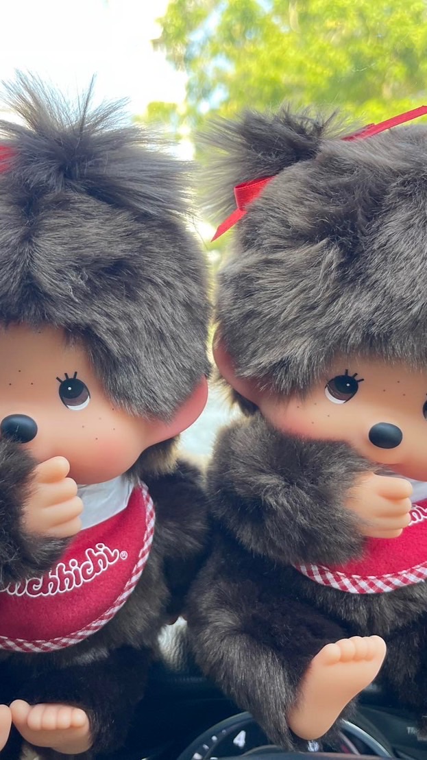 Monchhichi & popmart by annie 🌸