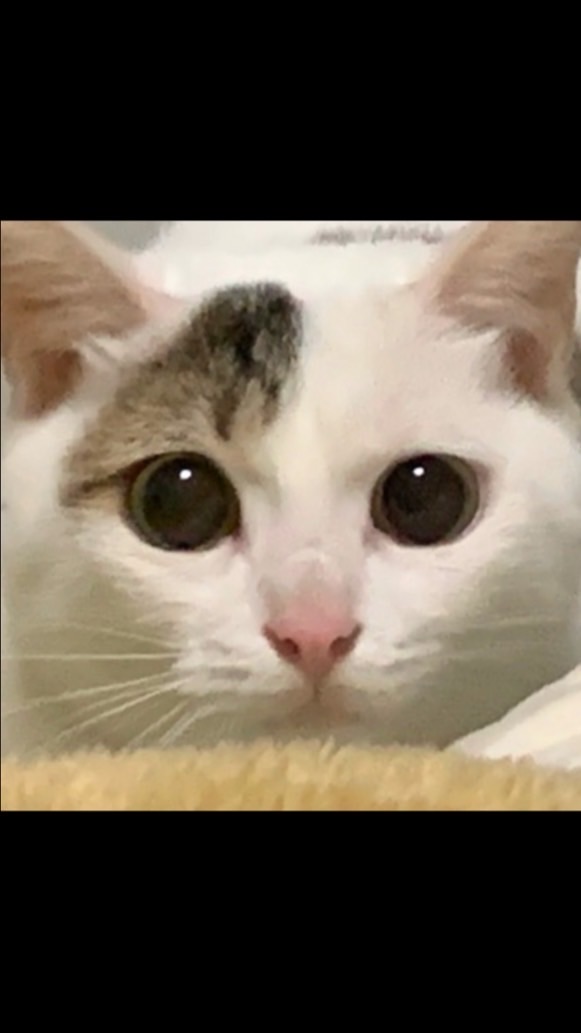 雑談